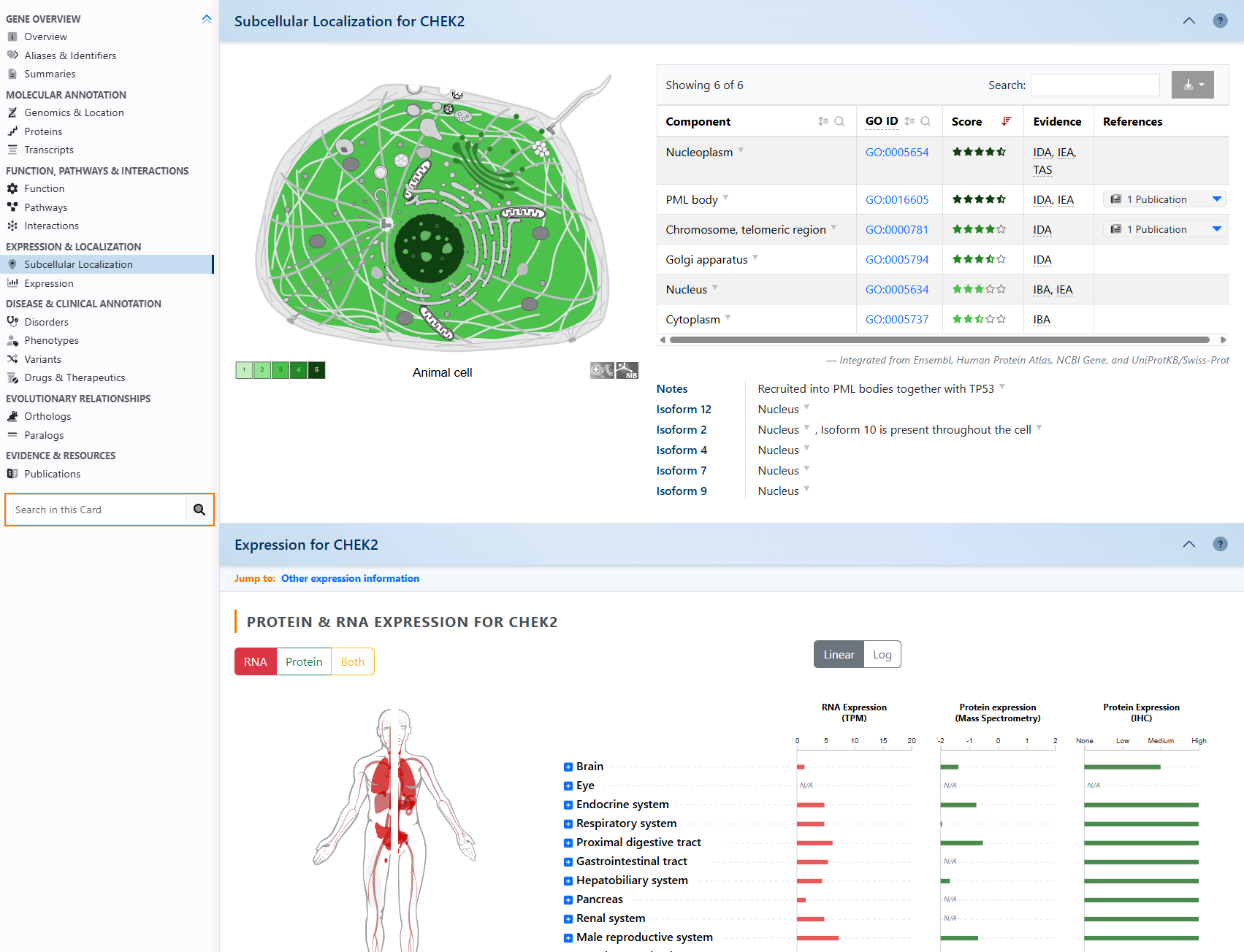 GeneCards gene card showing CHEK2 protein domains, PTMs, and canonical forms